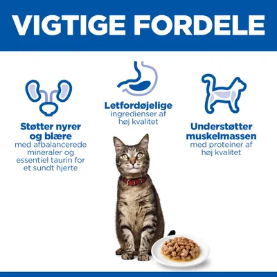 Vigtige fordele: Understøtter nyrer og blære, letfordøjelige ingredienser, understøtter muskelmasse. Kat og skål med foder er afbildet. Vigtige fordele: Understøtter nyrer og blære, letfordøjelige ingredienser, understøtter muskelmasse. Kat og skål med foder er afbildet.