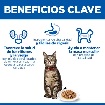 Ventajas clave: Apoya la salud renal y vesical, ingredientes de alta calidad y fácil digestión, ayuda a mantener la masa muscular. Imagen de un gato y un cuenco con comida.