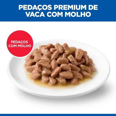 Prato com pedaços premium de carne de vaca em molho. Texto: Pedaços premium de vaca com molho, pedaços com molho.