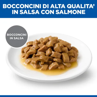 Bocconcini di alta qualità in sauce con salmone. Bocconcini in salsa raffigurati su un piatto bianco. Bocconcini di alta qualità in sauce con salmone. Bocconcini in salsa raffigurati su un piatto bianco.