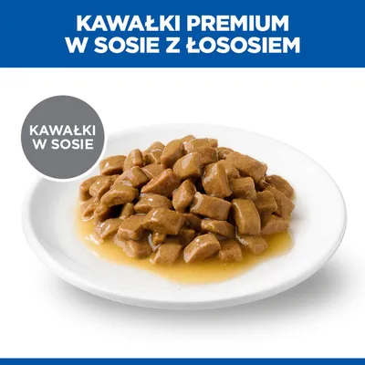 Kawałki Premium w sosie z łososiem, kawałki mięsa w sosie na białym talerzu, tekst: Kawałki w sosie. Kawałki Premium w sosie z łososiem, kawałki mięsa w sosie na białym talerzu, tekst: Kawałki w sosie.
