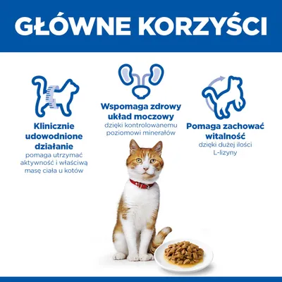 Klinicznie potwierdzone działanie, wspiera zdrowy układ moczowy dzięki kontroli minerałów, wspomaga witalność dzięki wysokiej zawartości lizyny. Obraz kota i miski na karmę. Klinicznie potwierdzone działanie, wspiera zdrowy układ moczowy dzięki kontroli minerałów, wspomaga witalność dzięki wysokiej zawartości lizyny. Obraz kota i miski na karmę.