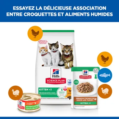 Hill's Science Plan Kitten <1 aliments secs et humides au poulet, à la dinde et au poisson. Trois chats sur l'emballage. Symboles pour le poulet, la dinde et le poisson visibles. Hill's Science Plan Kitten <1 aliments secs et humides au poulet, à la dinde et au poisson. Trois chats sur l'emballage. Symboles pour le poulet, la dinde et le poisson visibles.