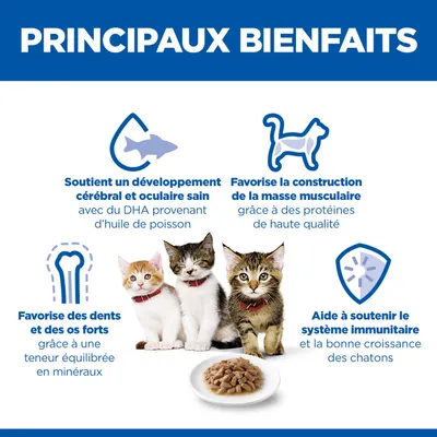 Principaux avantages : Favorise le développement du cerveau et des yeux, la construction musculaire, des dents et des os solides, ainsi que le système immunitaire chez les chatons. Avec du DHA issu de l'huile de poisson, des protéines de haute qualité et des minéraux. Principaux avantages : Favorise le développement du cerveau et des yeux, la construction musculaire, des dents et des os solides, ainsi que le système immunitaire chez les chatons. Avec du DHA issu de l'huile de poisson, des protéines de haute qualité et des minéraux.