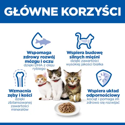 Grafika z czterema głównymi zaletami: wspiera mózg i oczy, wzmacnia zęby i kości, sprzyja budowie mięśni, wspiera układ odpornościowy. Przedstawiono trzy kocięta oraz miskę z pokarmem. Grafika z czterema głównymi zaletami: wspiera mózg i oczy, wzmacnia zęby i kości, sprzyja budowie mięśni, wspiera układ odpornościowy. Przedstawiono trzy kocięta oraz miskę z pokarmem.