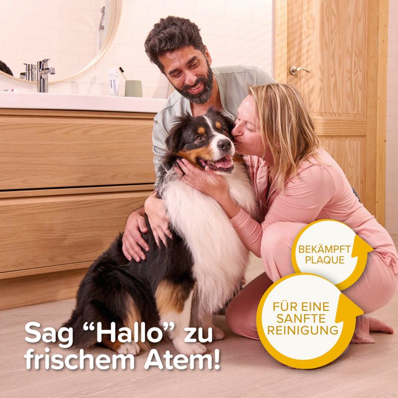 beaphar Zahnpflege Set für Welpen