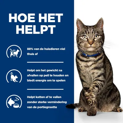 88% van de huisdieren vielen thuis af. Helpt het gewicht na het afvallen te behouden en biedt energie om te spelen. Ondersteunt gewichtsverlies bij katten zonder sterke portievermindering. 88% van de huisdieren vielen thuis af. Helpt het gewicht na het afvallen te behouden en biedt energie om te spelen. Ondersteunt gewichtsverlies bij katten zonder sterke portievermindering.