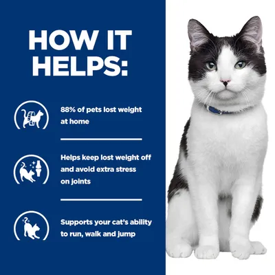 How it helps: 88% of pets lost weight at home, helps maintain weight and avoid joint strain, supports running, walking and jumping in cats. How it helps: 88% of pets lost weight at home, helps maintain weight and avoid joint strain, supports running, walking and jumping in cats.