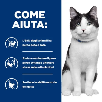 Hill's Prescription Diet j/d Metabolic + Mobility con Pollo