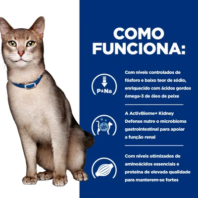 Infográfico com texto em português sobre níveis controlados de fósforo e sódio, ácidos gordos ómega-3, apoio ao microbioma e aminoácidos otimizados para gatos.
