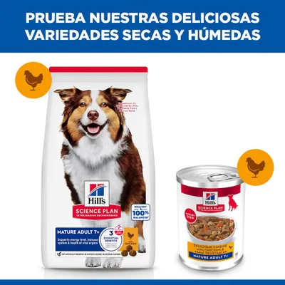 Hill's Science Plan Mature Adult 7+ comida seca y húmeda con pollo, imágenes de bolsitas y lata de alimento, indicación de nutrición equilibrada. Hill's Science Plan Mature Adult 7+ comida seca y húmeda con pollo, imágenes de bolsitas y lata de alimento, indicación de nutrición equilibrada.