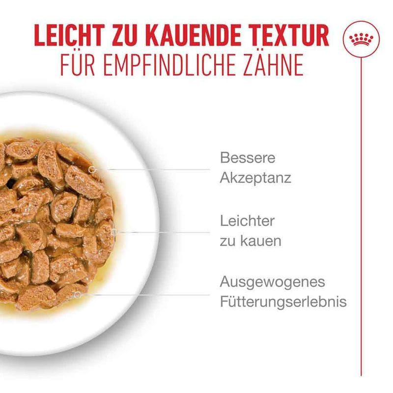 Royal Canin Ageing 11+ in Soße