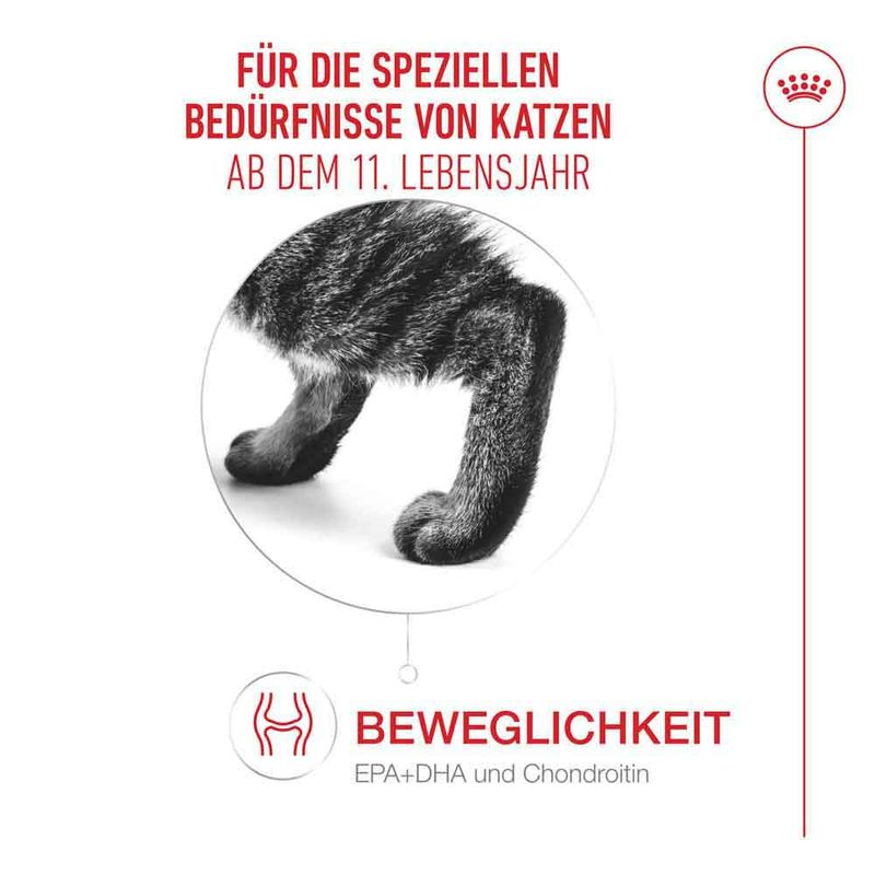 Royal Canin Ageing 11+ in Gelee