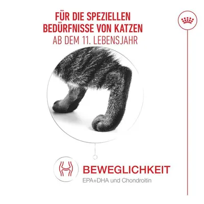 Royal Canin Ageing 11+ in Gelee