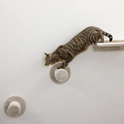 Kerbl Pet Kletterwand Matterhorn für Katzen, beige