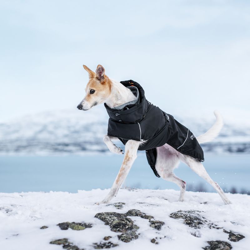 Rukka® Warmup Hundemantel 2.0, schwarz