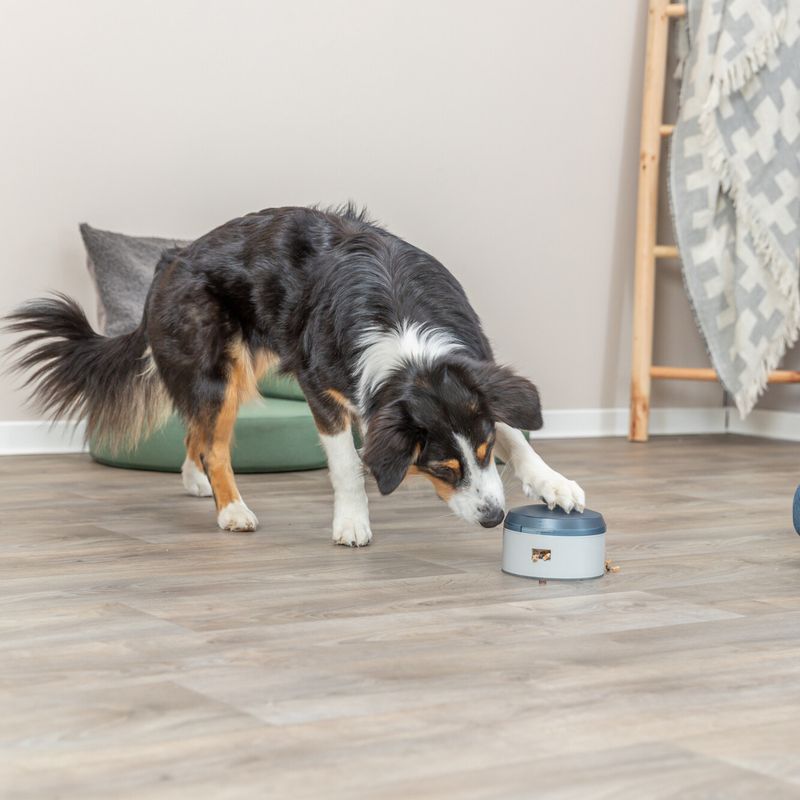Jeu de stratégie Trixie Dog Activity Buzzer pour chien