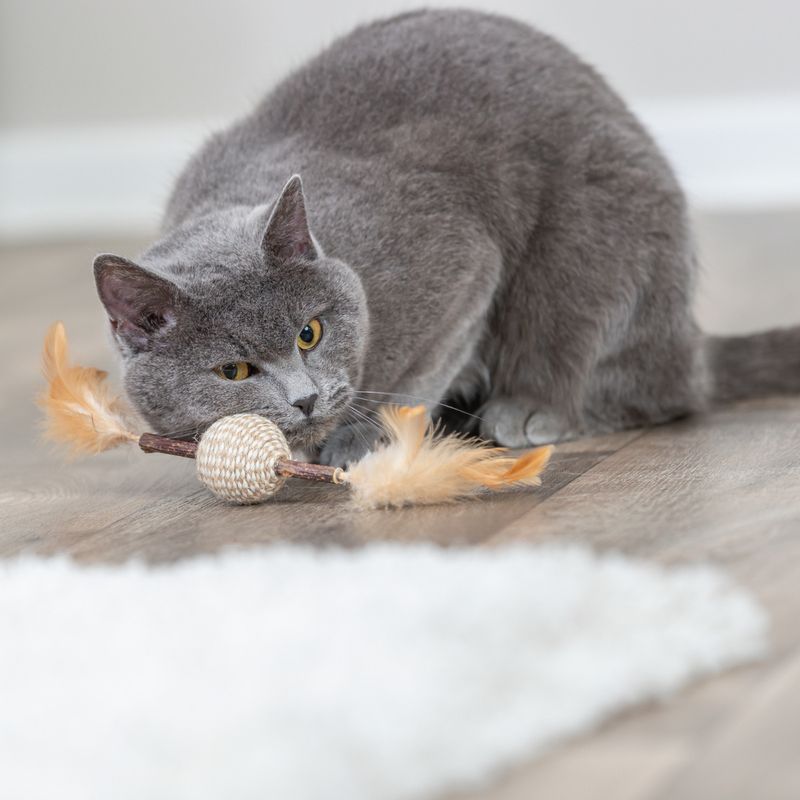 Trixie Jouet sur ressort Matatabi pour chat
