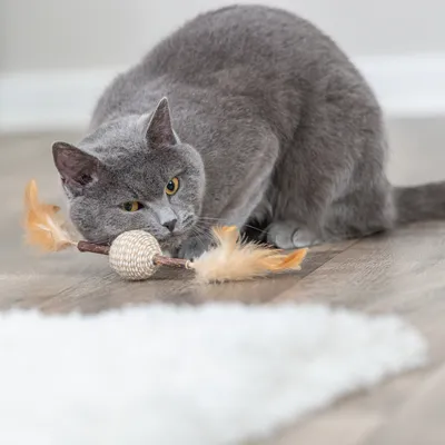 Trixie Jouet sur ressort Matatabi