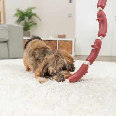 Trixie Chaîne à saucisses en vinyle avec corde pour chien