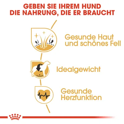 Geben Sie Ihrem Hund die Nahrung, die er braucht: Gesunde Haut und schönes Fell, Idealgewicht, Gesunde Herzfunktion.