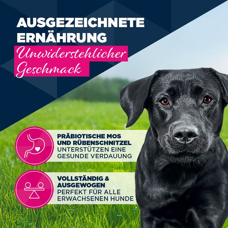 Eukanuba Adult Reich an Lamm mit Kartoffeln
