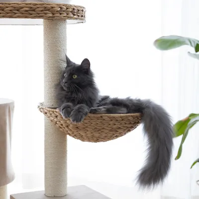 Kerbl Pet Banana Leaf Waxy