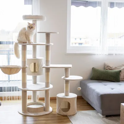Kerbl Pet Arbre à chat Annika, beige