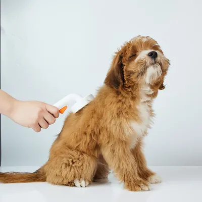 Petkit Pflegebürste für Haustiere 2.0