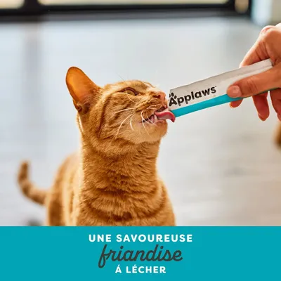 Applaws Friandise crémeuse 8 x 15 g