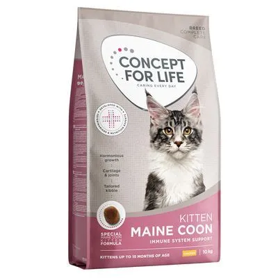 Concept for Life Maine Coon Kitten
