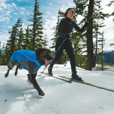 Ruffwear Vert Coverall Dog Coat - Blue Pool