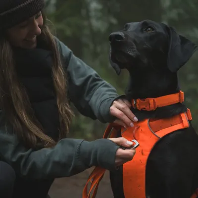 Ruffwear Front Range Hundeleine, Blaze Orange