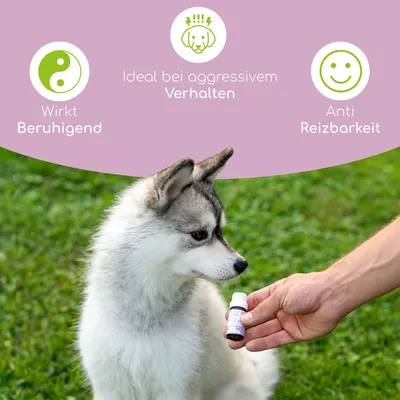 Wolfsbacher Natur Bachblüten