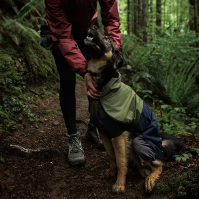 Ruffwear Sun Shower Coverall płaszcz dla psa, Midnight Blue
