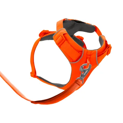 Ruffwear Front Range szelki dla psa, Blaze Orange