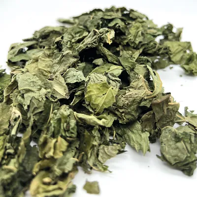 Aumüller Jouet pour chat Loopy Spiral