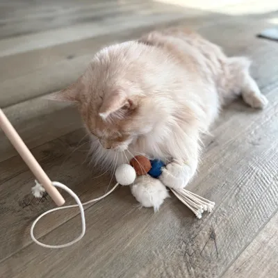 Aumüller Canne à pêche pour chat Filoa Macramee