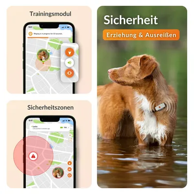Weenect Haustier GPS Tracker XS für Hunde