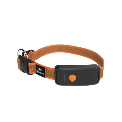 Weenect GPS Tracker XT pour chien – orange Weenect GPS Tracker XT pour chien – orange
