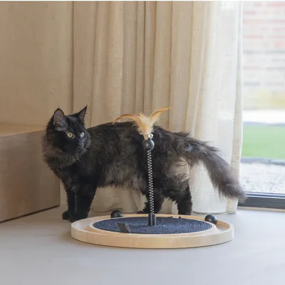 Designed by Lotte katt­leksak Idah i trä