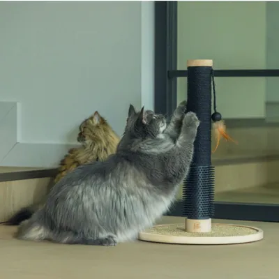 Designed by Lotte griffoir en bois Fida