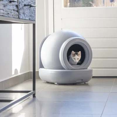 beeztees automatisk kattlåda Moeza