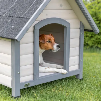 Trixie Hundehütte Cottage Trixie Hundehütte Cottage