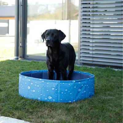 Kerbl Pet bazen za pse Bubble