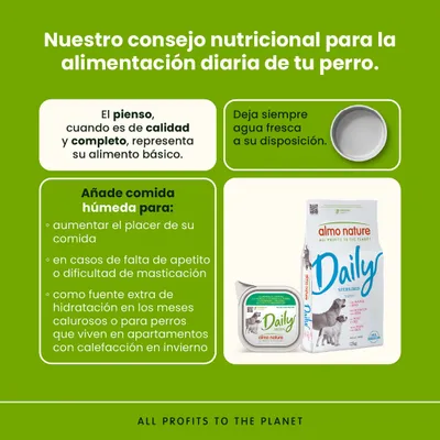 Recomendación de alimentación para perros: pienso seco como base, siempre proporcionar agua fresca, comida húmeda para aumentar el disfrute y aportar hidratación adicional. almo nature Daily visible.