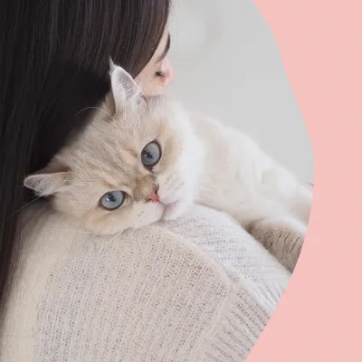 GimCat Nutri Biotin Bouchées au saumon GimCat Nutri Biotin Bouchées au saumon