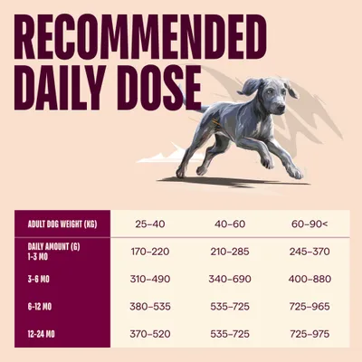 Carnilove Active Junior Large Breed losos a krocan