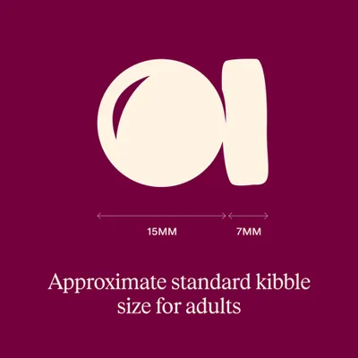 Carnilove True Fresh Adult hovězí