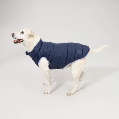 Nomad Tales Bloom Hundemantel Puffer, lila/marineblau Nomad Tales Bloom Hundemantel Puffer, lila/marineblau